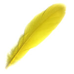 Goose Shoulder Bright Yellow