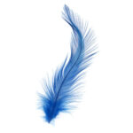 NHS Kingfisher Blue