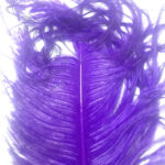 OH- Purple