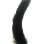 Squirrel Tail Black