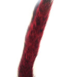 Squirrel Tail Fl.Red