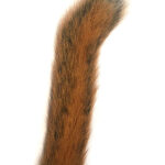 Squirrel Tail Natural