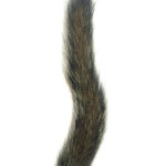Squirrel Tail Natural Grey