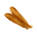 Caddis Wings Cinnamon
