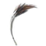 Stripped Hackle Quills Natural Brown
