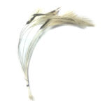 Stripped Hackle Quills Natural Grey