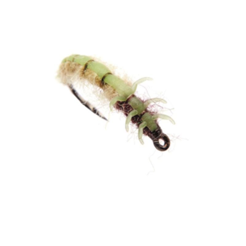 Caddis Larva Green