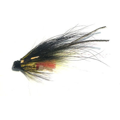 Temple Dog Black:Yellow