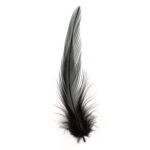 Rooster Saddle Black